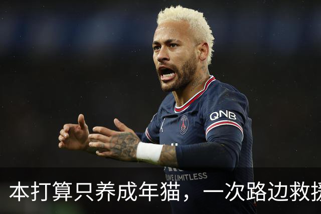 本打算只养成年猫，一次路边救援后家里还是多了只小猫