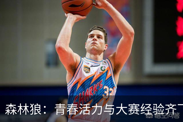 森林狼：青春活力与大赛经验齐飞的梦之队
